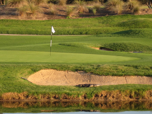 International Course at ChampionsGate Golf Resort - Alligator