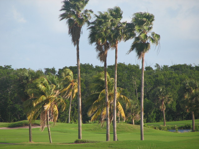 Crandon Golf Key Biscayne
