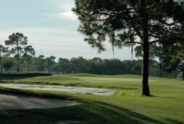 Lansbrook Golf Club - hole 18