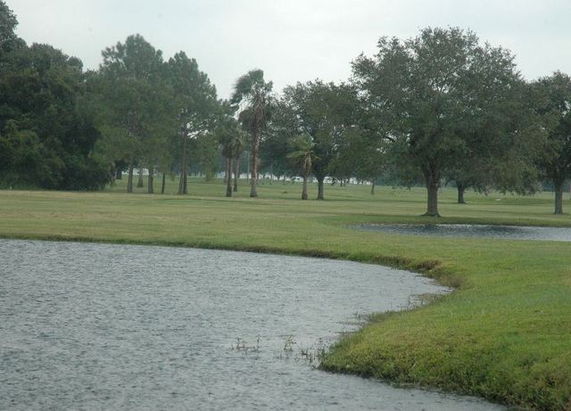 Silver Dollar Golf Club - Gator Course - hole 3