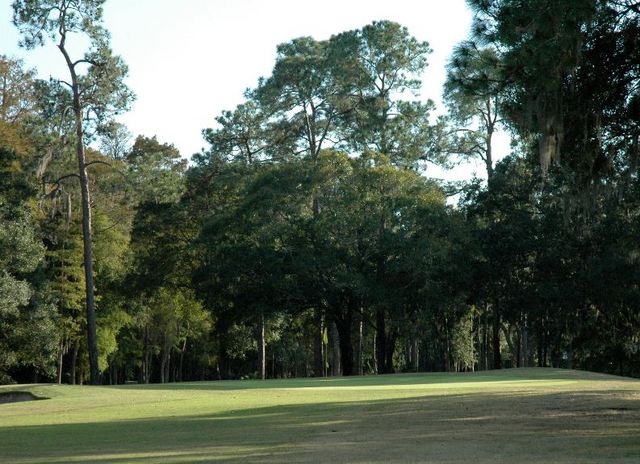 Tarpon Woods Golf Club - hole 6