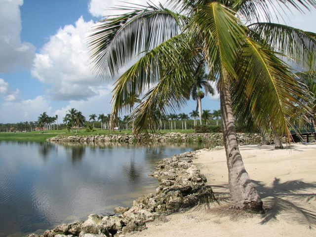 Golfers find a tight squeeze on Lely Resort #39 s Flamingo Island Course in