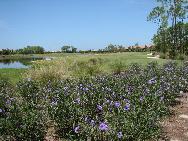 Marco Island