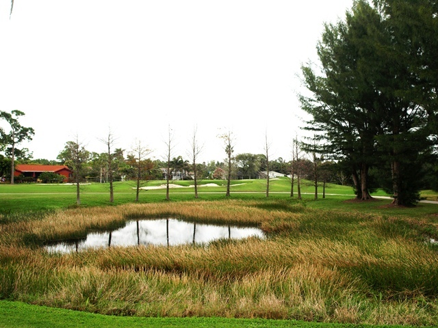 Palm Beach National Golf and C.C. - No. 5