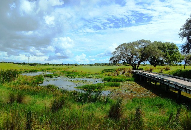 Indian River Preserve Golf Club - hole 18