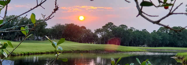 Heron Creek GCC