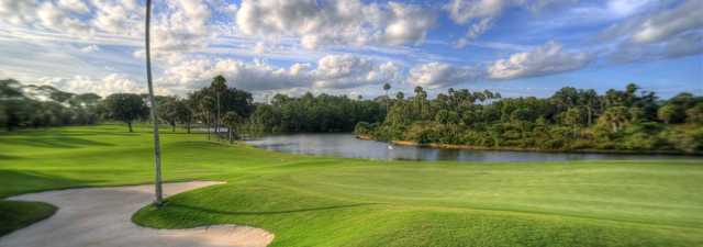 Palm Harbor Golf Club: #1