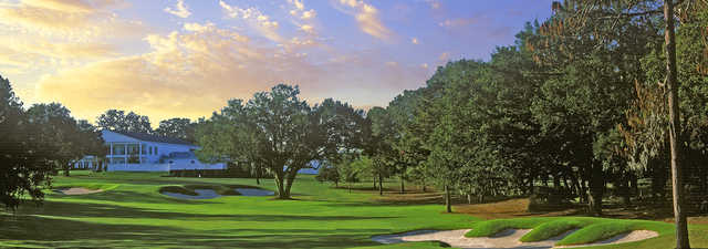 Ocala National at Golden Hills