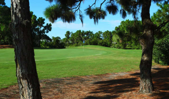 Pine Valley Nine At Long Marsh Golf Club At Rotonda West In Rotonda West