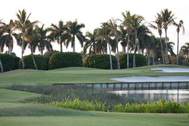 Gold/Red at Westchester Country Club in Boynton Beach Gold/Red at Westchester Country Club in Boynton Beach
