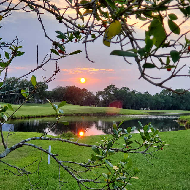 Oaks/Marsh Course at Heron Creek Golf and Country Club in North Port