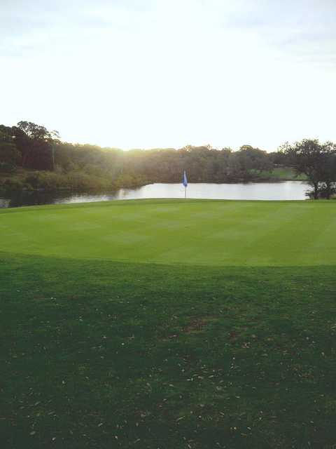 Eagle at Eglin Golf Course in Niceville Eagle at Eglin Golf Course in Niceville