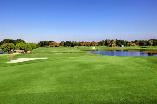 Sandpiper Lakeland Florida Golf Course Information And Reviews 