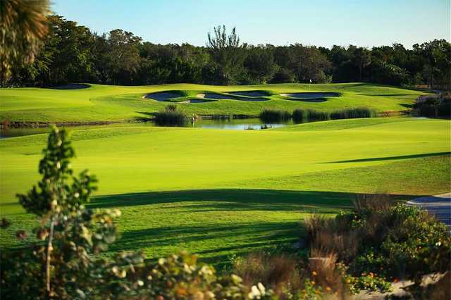 Hammock Bay Golf Course Naples hammock bay golf course in naples Hammock Bay Golf Course Naples hammock bay golf course in naples