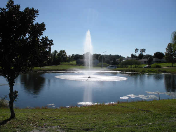 Wedgewood Golf Country Club In Lakeland