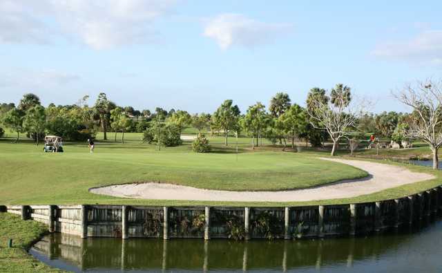 Okeeheelee Golf Course Eagle/Osprey in West Palm Beach Okeeheelee Golf Course Eagle/Osprey in West Palm Beach