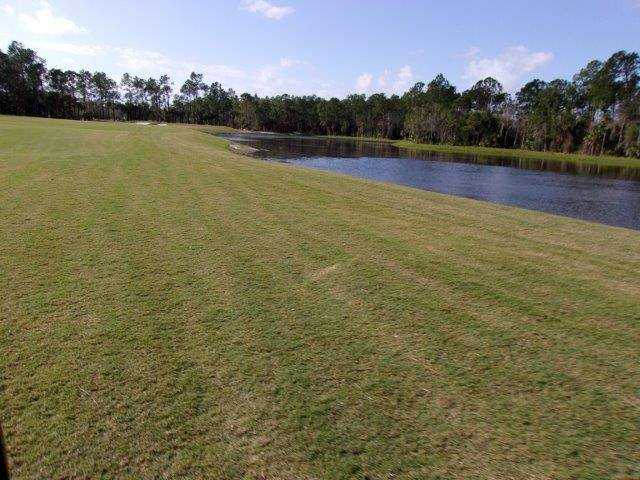 Golf Club Of The Everglades In Naples