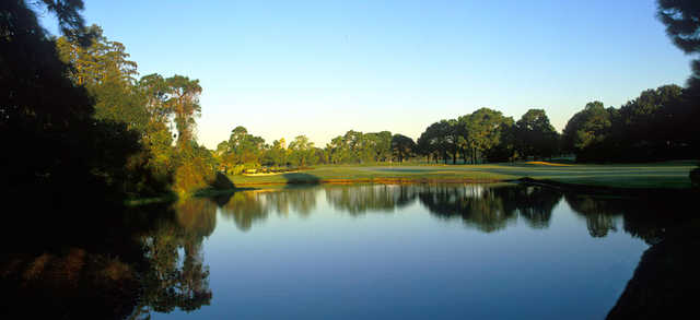 Lansbrook Golf Club In Palm Harbor
