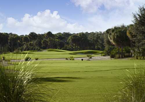 TwinEagles Golf Country Club Talon Course In Naples