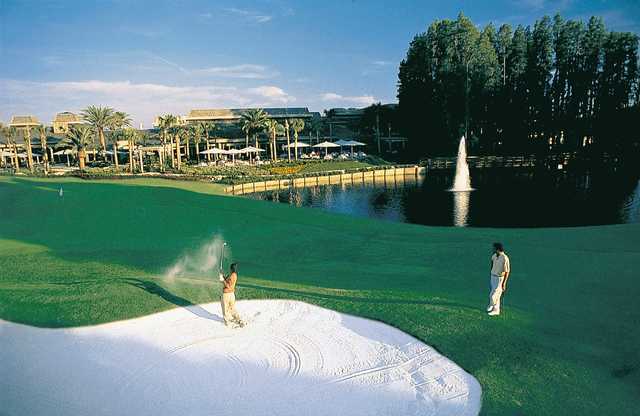 Palmer Course at Saddlebrook Resort in Wesley Chapel Palmer Course at Saddlebrook Resort in Wesley Chapel