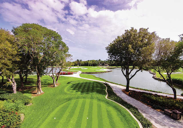 Hammock Course at Ocean Reef Club in Key Largo Hammock Course at Ocean Reef Club in Key Largo