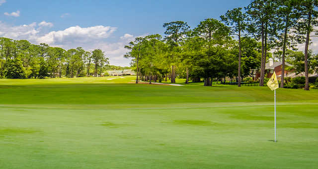 Eagle Harbor Golf Club in Orange Park
