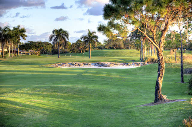 Okeeheelee Golf Course Eagle/Osprey in West Palm Beach Okeeheelee Golf Course Eagle/Osprey in West Palm Beach