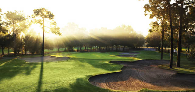 Copperhead Course At Innisbrook Resort Golf Club In Palm Harbor
