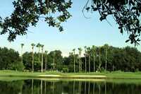 Orange Tree GC