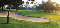 No. 1 at Innisbrook Resort's Copperhead course