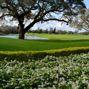 Grande Oaks GC