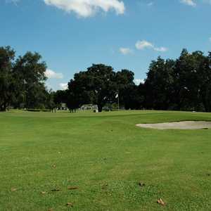 Orange Tree GC: #15