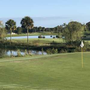 Black Bear GC