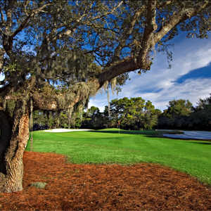 Meadows at Bay Point Resort: 3rd green