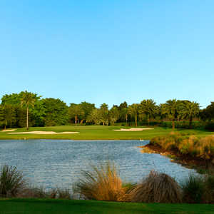 Trump National Doral Miami - Silver Fox: #15