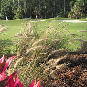 Naples Heritage GC