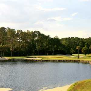 Walt Disney World GR - Palm: #16
