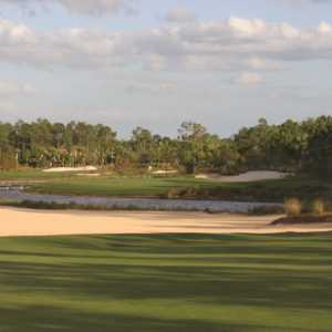 Tiburon GC - Black: #10