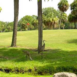 Turtle Creek GC