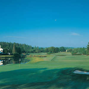 TPC of Tampa Bay - Hole #15