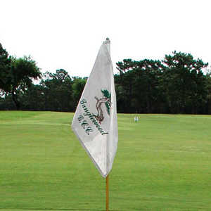 Tanglewood GCC