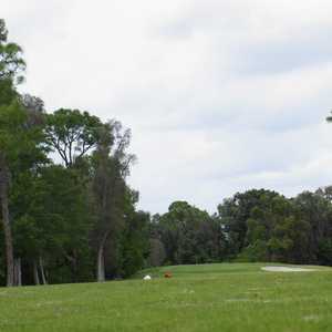 Forest Oaks GC: #13