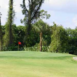 Forest Oaks GC