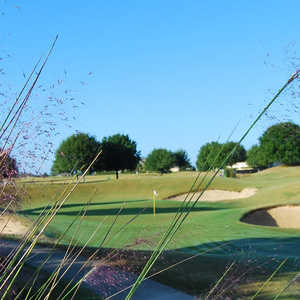 Black Bear GC