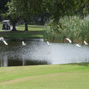 Tatum Ridge Golf Links