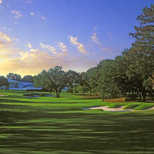 Ocala National at Golden Hills