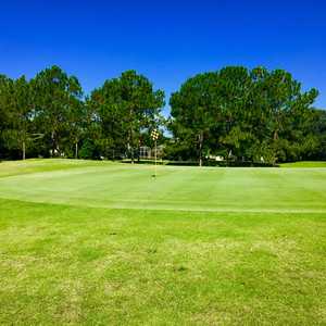 The CC of Mount Dora: #14