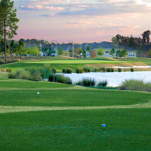 Plantation Palms GC: #7