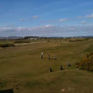 Dunedin Golf Club in Dunedin Dunedin Golf Club in Dunedin