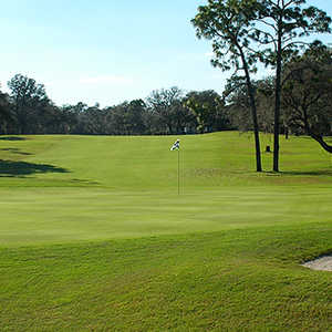 HAINES CITY GRENELEFE GOLF TENNIS RESORT haines city grenelefe golf tennis resort: